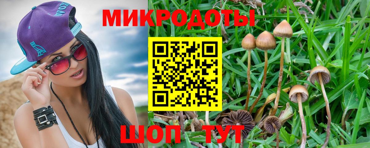 Псилоцибиновые грибы MAGIC MUSHROOMS Гагарин