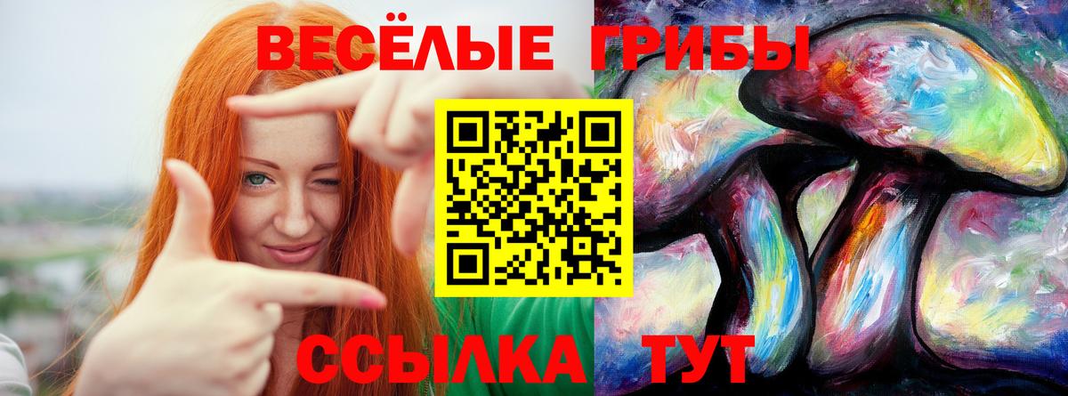 Псилоцибиновые грибы мицелий  купить  цена  Гагарин  Псилоцибиновые грибы прущие грибы  Вход с VPN 